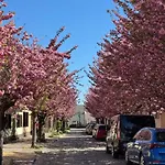 Suedfrankreich Bei Berlin Дом отдыха *