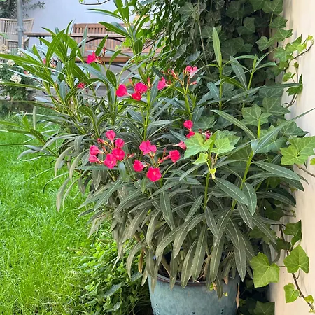 Suedfrankreich Bei Berlin