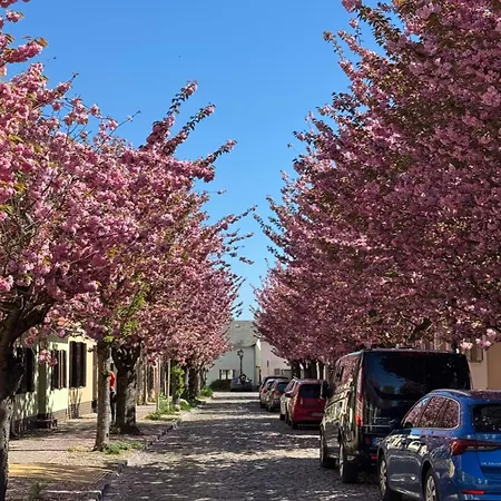 Suedfrankreich Bei Berlin בית נופש *