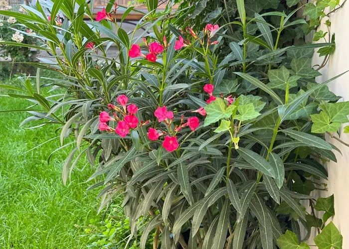 Suedfrankreich Bei Berlin