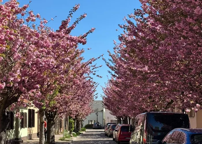 Suedfrankreich Bei Berlin בית נופש *
