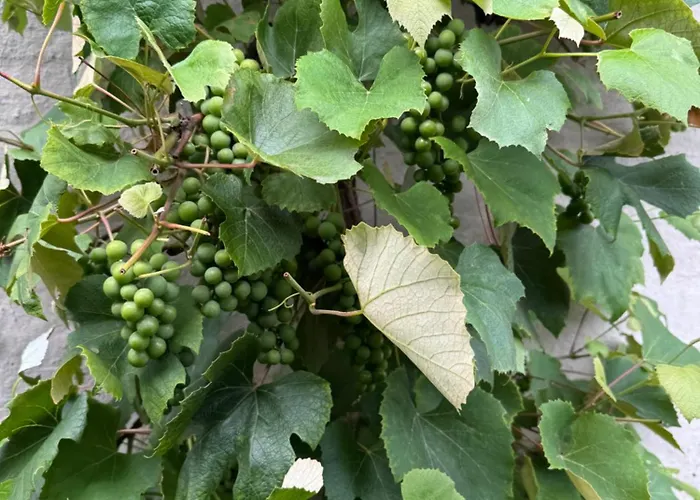 בית נופש Suedfrankreich Bei Berlin *